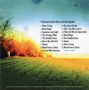 11CD/Coffret Steve Wynn: Decade