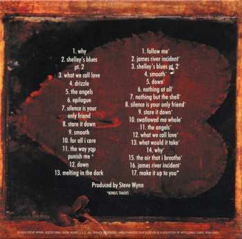 11CD/Coffret Steve Wynn: Decade