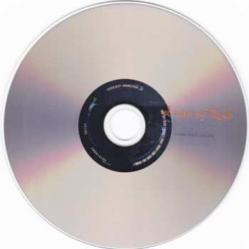 CD Steven Brown: El Informe Toledo