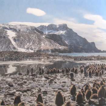 2LP Steven Price: Our Planet