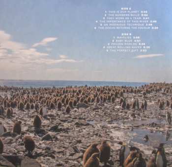 2LP Steven Price: Our Planet