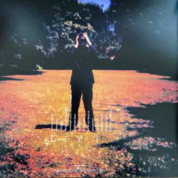 2LP Steven Wilson: Insurgentes