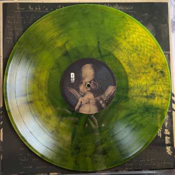 LP Still / Form: From The Rot Is A Gift