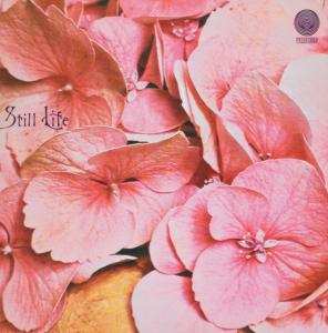 CD Still Life: Still Life LTD
