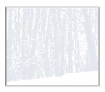 CD Sting: If On A Winter's Night...