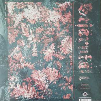 LP Stjärnfält: Lapporten LTD | CLR