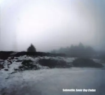 Submotile: Sonic Day Codas