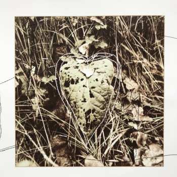 2LP Subsonica: Amorematico CLR | LTD