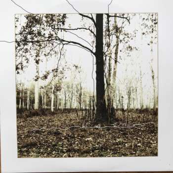 2LP Subsonica: Amorematico CLR | LTD