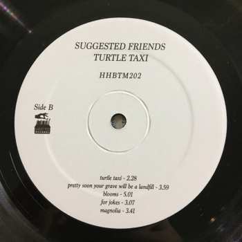 LP Suggested Friends: Turtle Taxi