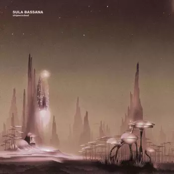 Sula Bassana: Shipwrecked