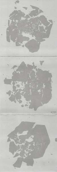 CD Sumac: What One Becomes