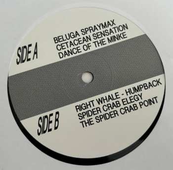 LP Sun Araw: Cetacean Sensation