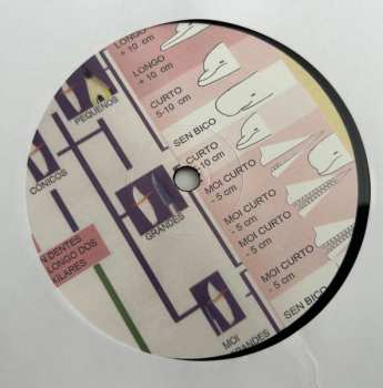 LP Sun Araw: Cetacean Sensation