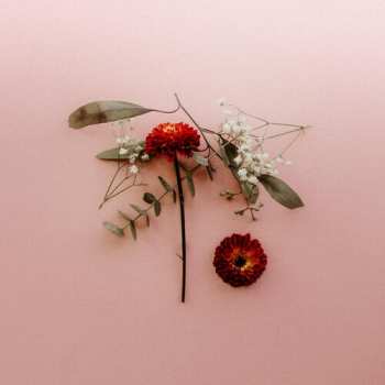 Album Sunsleeper: You Can Miss Something & Not Want It Back