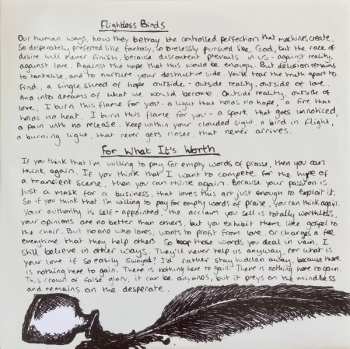 SP Svalbard: Flightless Birds