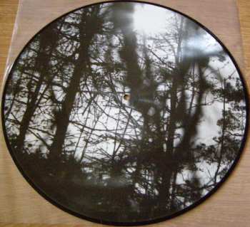 LP Hypothermia: Svarta Nyanser Av Ljus PIC | LTD