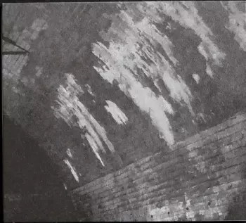 Svarte Greiner: Devolving Trust