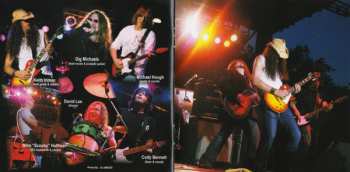 CD Swampdawamp: Rock This Country