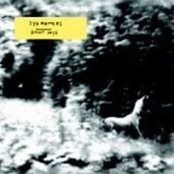 Album Syd Matters: Ghost Days