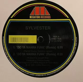 Do Ya Wanna Funk (Remix)