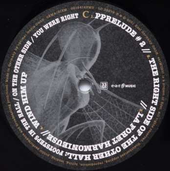 2LP Saga: Symmetry