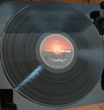 LP Tananai: Calmocobra