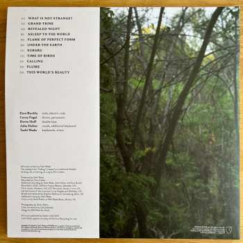 2LP Tashi Wada: What Is Not Strange?