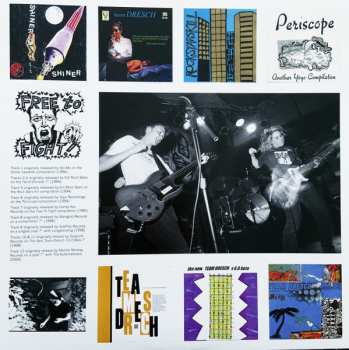 LP Team Dresch: Choices, Chances, Changes: Singles & Comptracks 1994-2000 LTD | CLR