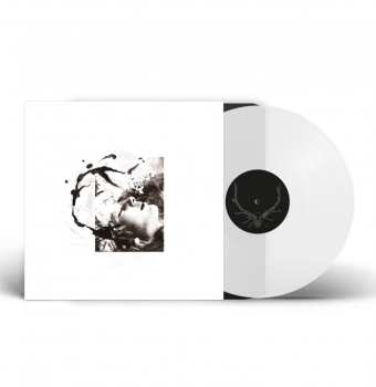 LP Tenhi: Airut: Aamujen