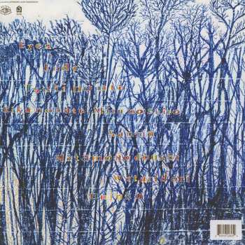 LP Tenniscoats: Music Exists Disc 4