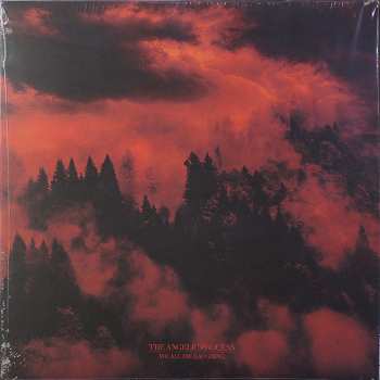 6LP/Coffret The Angelic Process: We All Die Laughing DLX | LTD