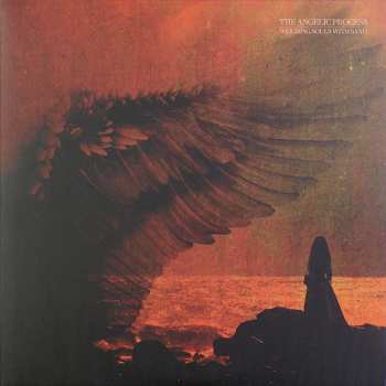 6LP/Coffret The Angelic Process: We All Die Laughing DLX | LTD