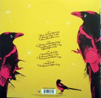 2LP The Avett Brothers: Magpie And The Dandelion