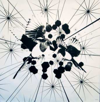 2LP The Avett Brothers: Magpie And The Dandelion