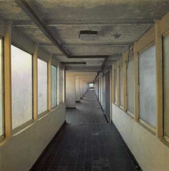 2LP The Bevis Frond: Little Eden LTD | CLR