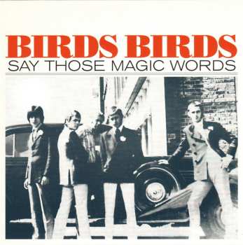 5SP/Coffret The Birds: The Birds Ride Again LTD