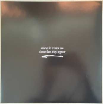 LP The Black Creatures: Wild Echoes