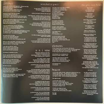 LP The Black Creatures: Wild Echoes