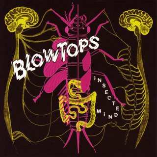 Album The Blowtops: Insected Mind