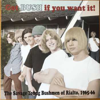 Album The Bush: Got Bush If You Want It!