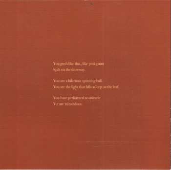 CD The Cave Singers: Welcome Joy