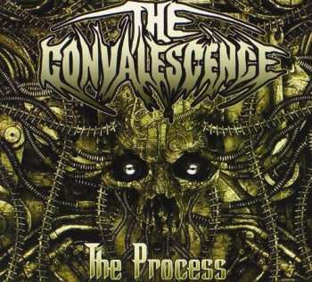 Album The Convalescence: The Process