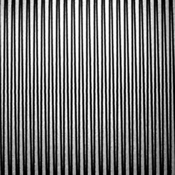 CD The Coolies: Master