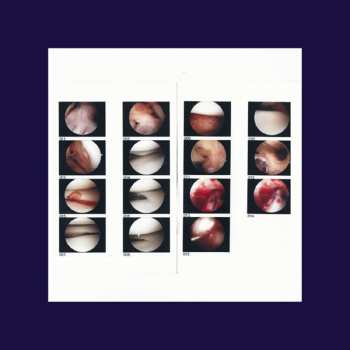 CD The Cradle: Laughing In My Sleep