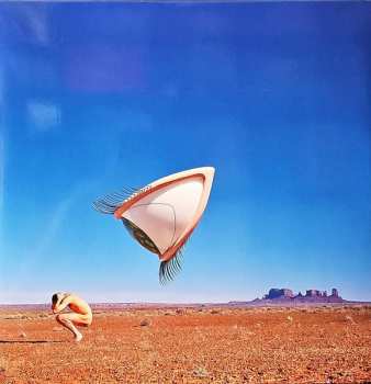 2LP The Cranberries: Bury The Hatchet LTD