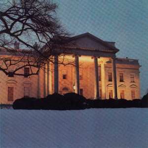 2LP The Dead C: The White House