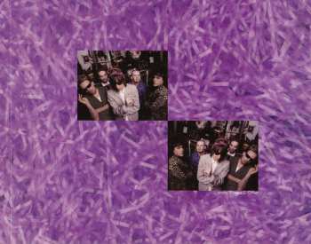 CD The Dickies: Dogs From The Hare That Bit Us