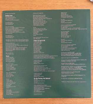 LP The Districts: Great American Painting LTD | CLR