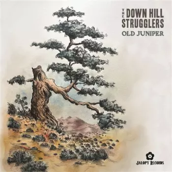 The Down Hill Strugglers: Old Juniper